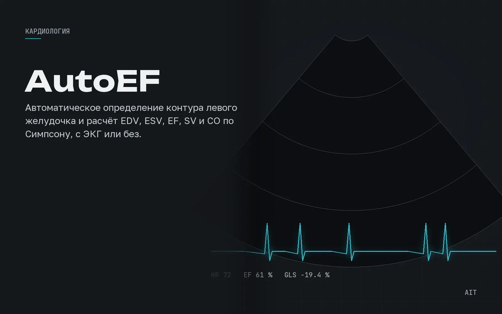 AutoEF, автоматическая фракция выброса